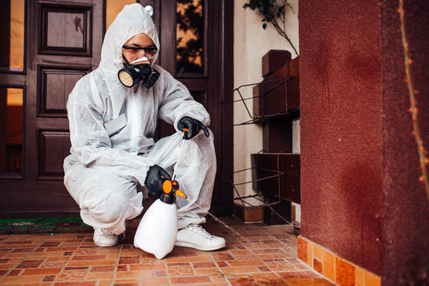 Attic and Crawl Space Rodent Treatment in Galena